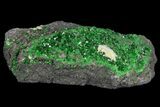 Druzy Green Uvarovite (Garnet Group) - Russia #100819-1